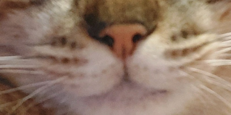 Kapak Fotoğrafı