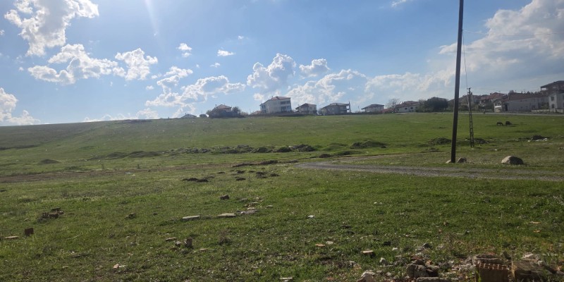 Kapak Fotoğrafı