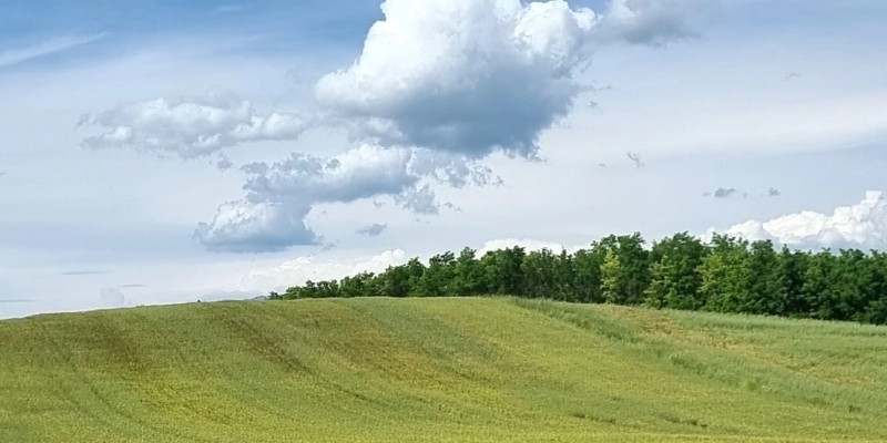 Kapak Fotoğrafı
