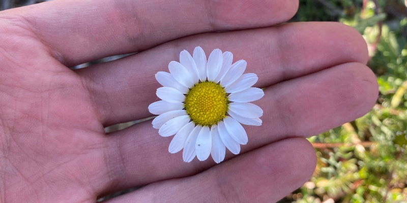 Kapak Fotoğrafı