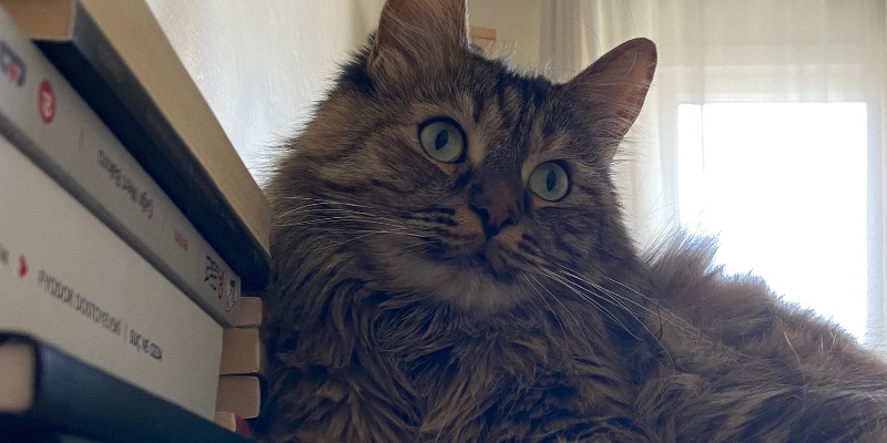 Kapak Fotoğrafı