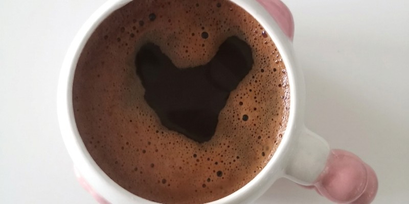 Kapak Fotoğrafı
