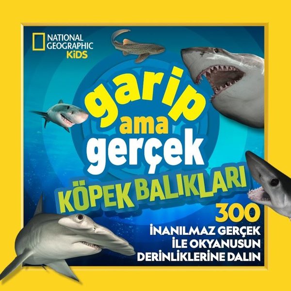 Garip Ama Gerçek - Köpek Balıkları