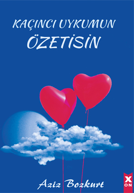 Kaçıncı Uykumun Özetisin