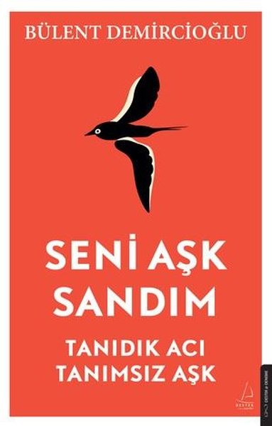 Seni Aşk Sandım - Tanıdık Acı Tanımsız Aşk