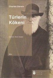 Turlerin Kokeni