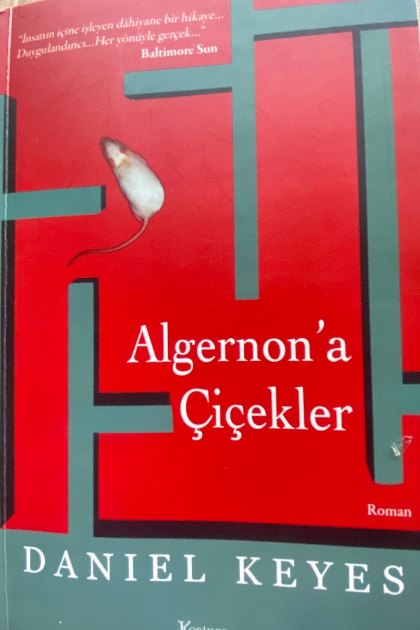 Algernon’a Çiçekler