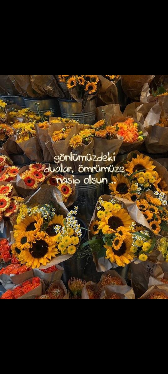 Paylaşılan görsel