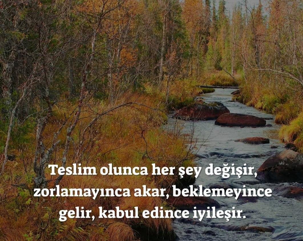 Paylaşılan görsel