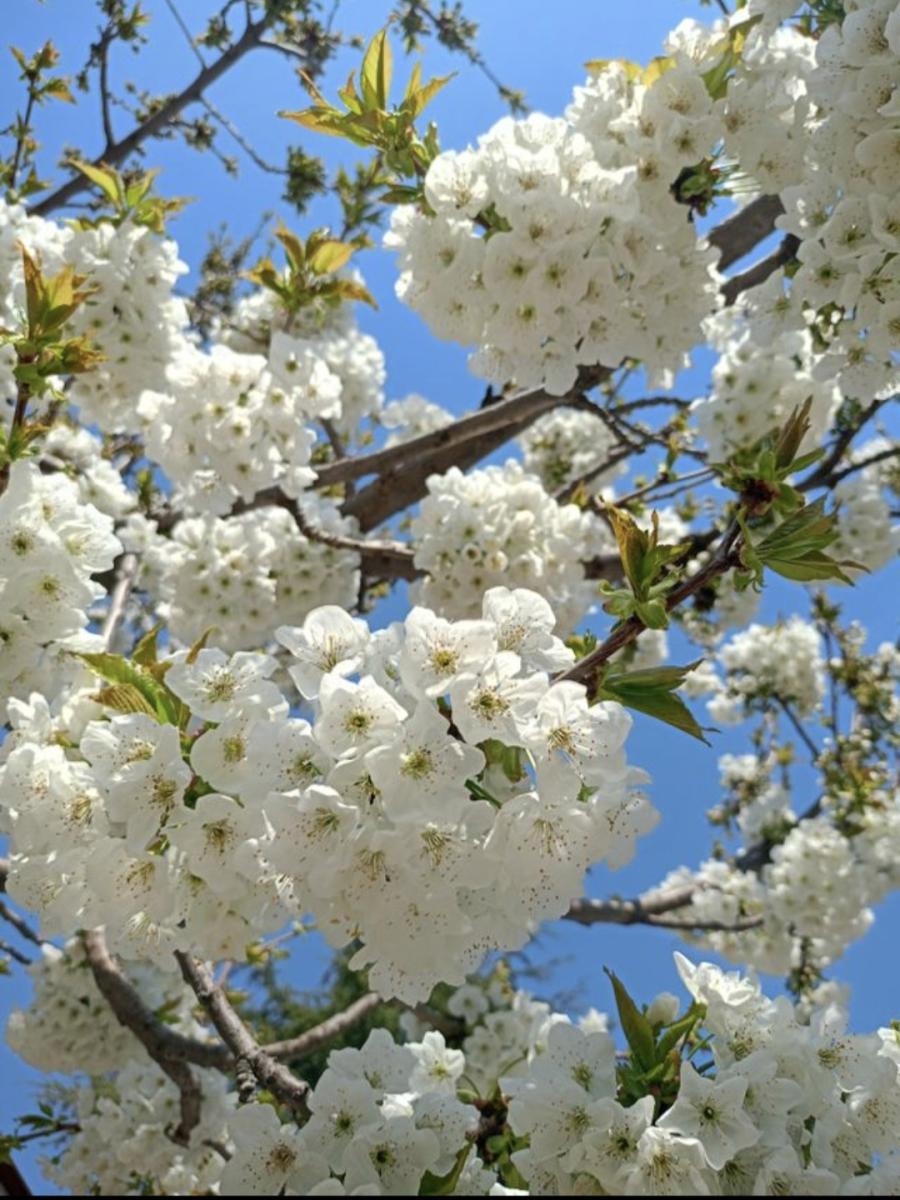 Paylaşılan görsel