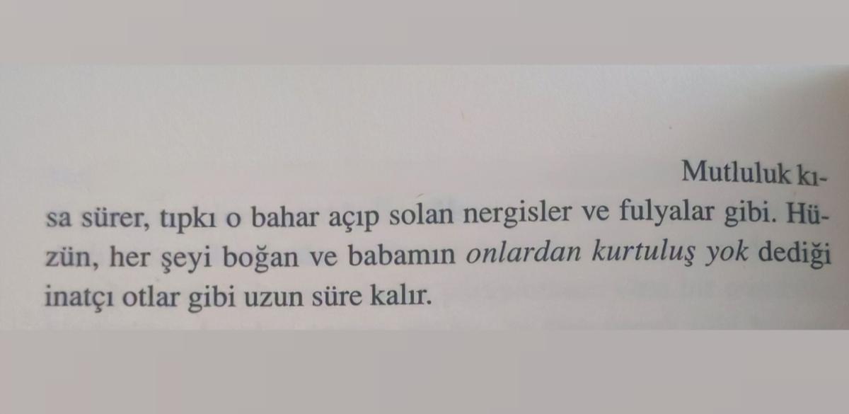 Paylaşılan görsel