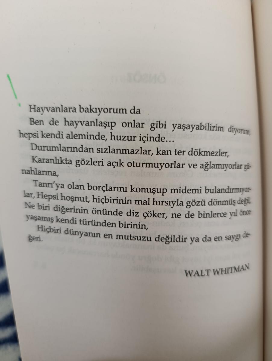 Paylaşılan görsel