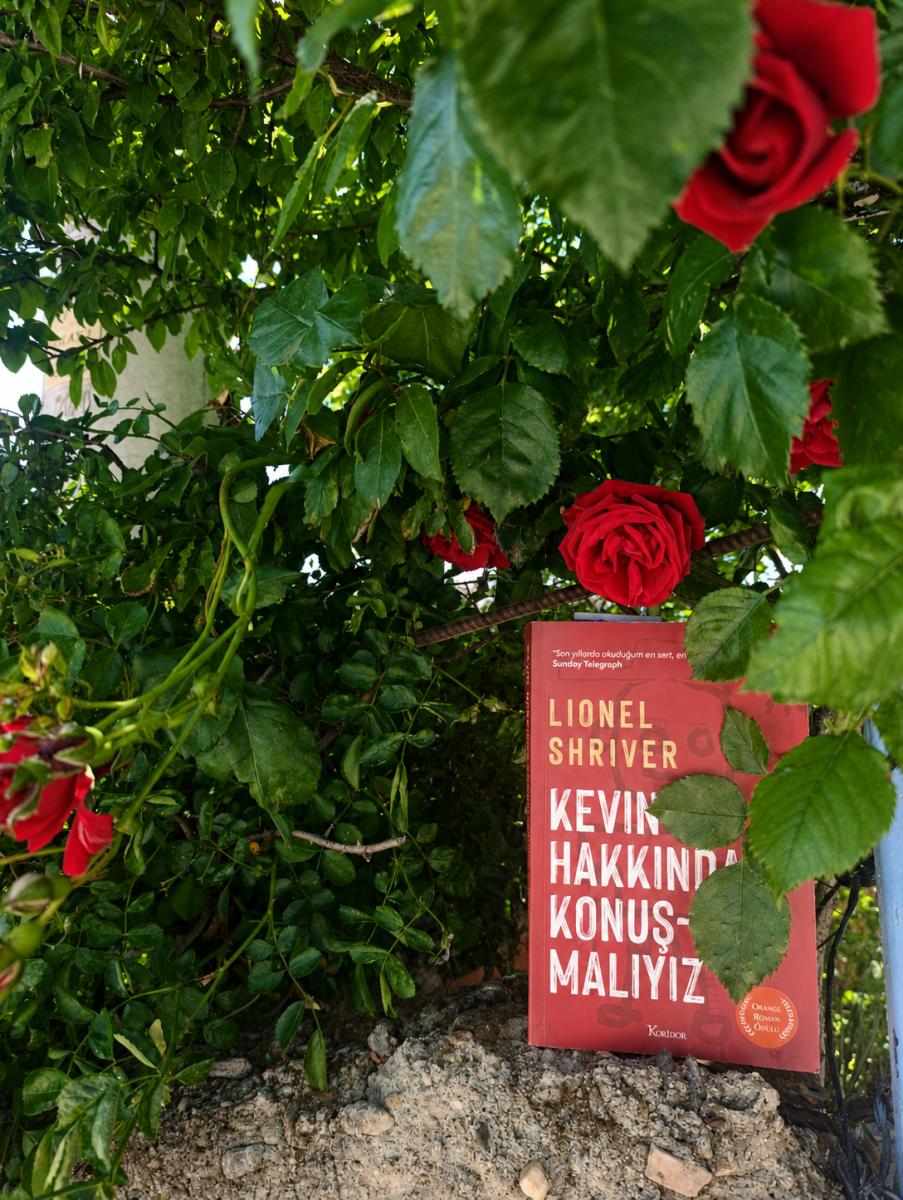 Kişisel Paylaşım