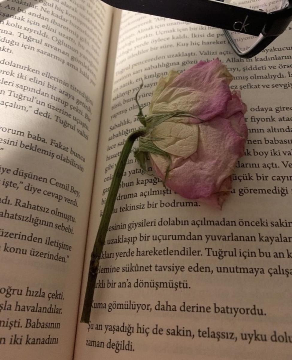 Kişisel Paylaşım