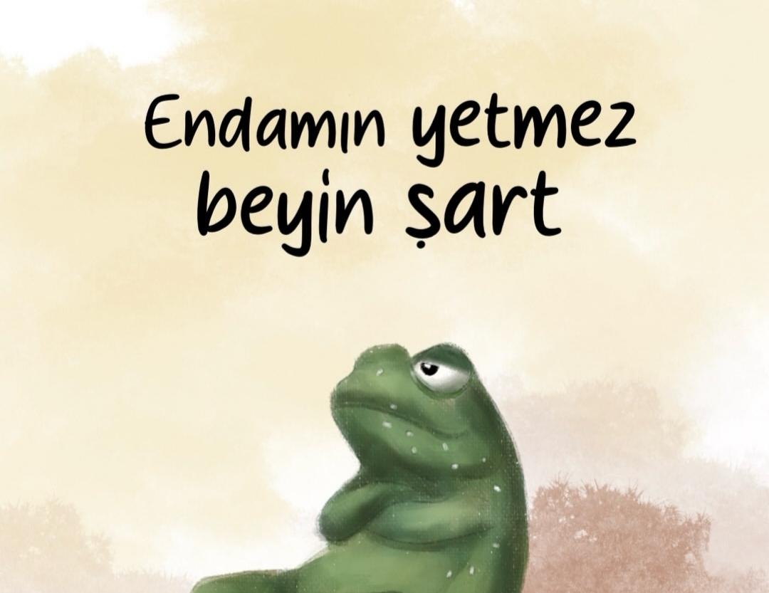 Kişisel Paylaşım